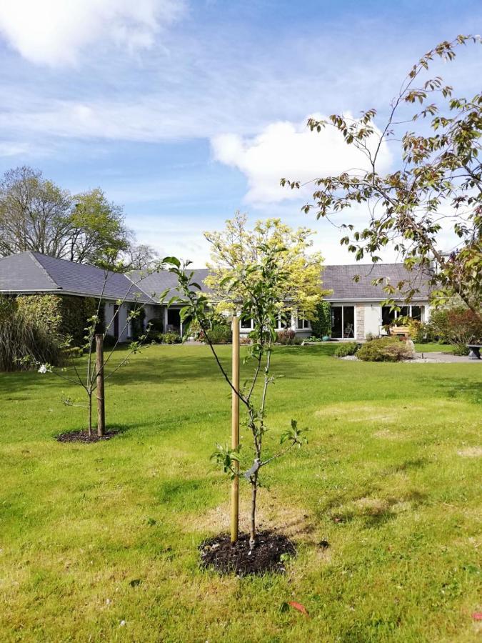 Bed and Breakfast Applecroft House Killarney Exteriér fotografie