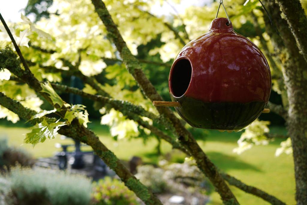 Bed and Breakfast Applecroft House Killarney Exteriér fotografie